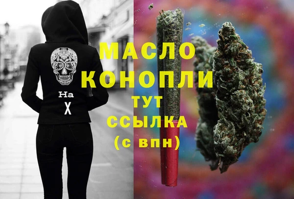 гидра Богородск